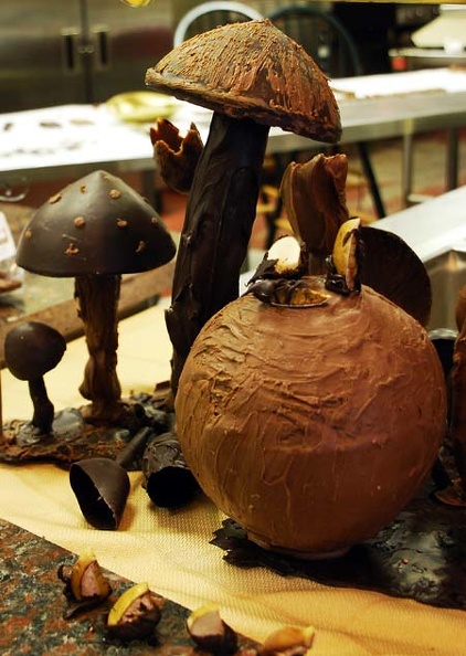 Chocolate Mushrooms & Boltes in Chocolate S.jpg