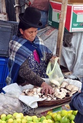 Mushroom Seller La Paz S