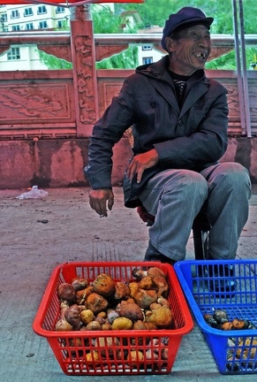 Mushroom dealer with Himalayan Gypsies (Rozites emodensis) and Leccinum.