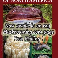 NA Medicinal Mushrooms CoverS NOW Available