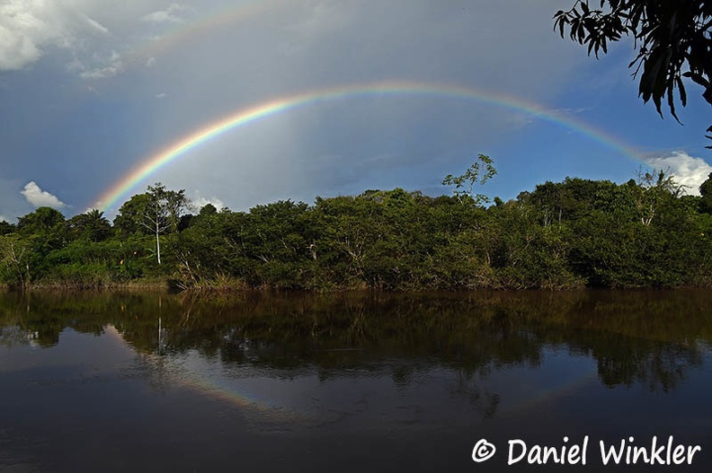Rainbow Kwamalasamutu Sipaliwini River DW Ms.jpg