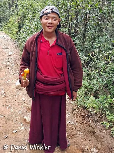 Monk who had found the Amanita hemipapha  I had hidden for picking up on the return hike in Phajoding