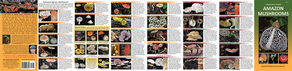 neotropical fungi field guide front