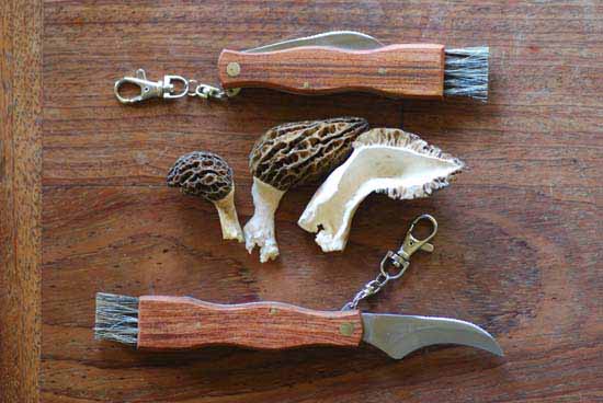 mushrooming mushroom knife morels