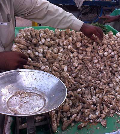 Podaxis pistillaris on market in Umerkot Sindh