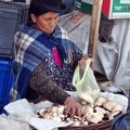 Mushroom Seller La Paz S