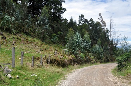 Iguaque Road 