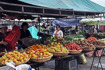 Market fruits 