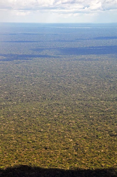 Amazonian forest expanse Ms-1603642853.jpg