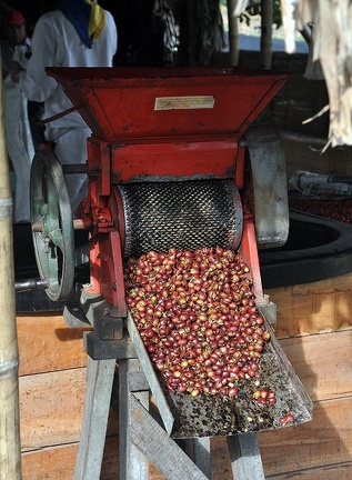 Coffee bean pealing machine 