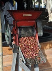 Coffee bean pealing machine 
