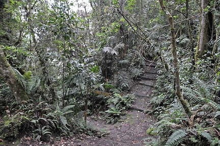 Historic path Chicaque Ms