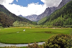 What a place! Hiking up a narrow valley to find this jewel. Wetland meadows with Mt Chana Dorje in the back