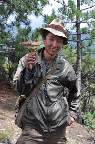 Orgyen Rinchen with one of many matsutake he picked that morning.