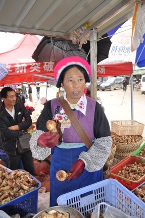 Be Sha sales woman. Be sha is the Tibetan name for pine mushrooms, but means oak mushroom.