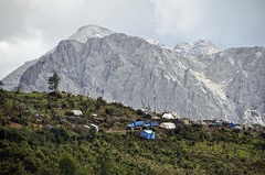 Seasonal matsutake Camp on the Chaktreng-Shangrila border