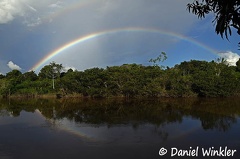 Rainbow Kwamalasamutu Sipaliwini River