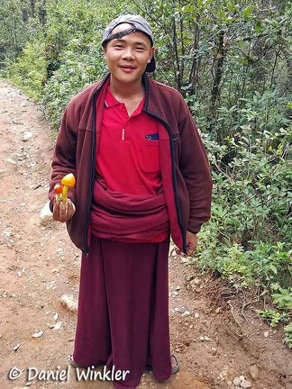 Monk who had found the Amanita hemipapha  I had hidden for picking up on the return hike in Phajoding