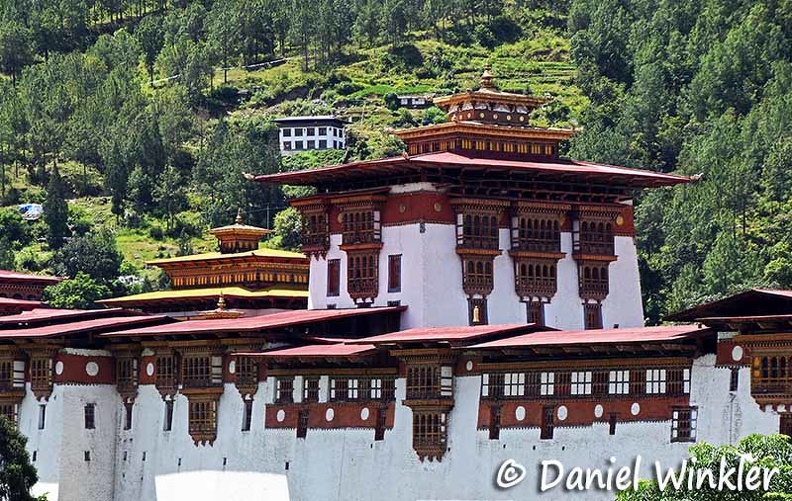 Punakha Dzong Dw Ms.jpg