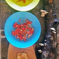 Mushroom tasting samples: Chanterelles, Cookeina and Oysters on paper bag