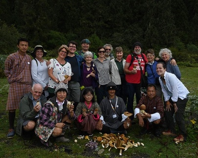 The 2019 Mushroaming Fungal Fellowship.  During a short stop at an old-growth spruce forest we found Netcap King boletes (Boletus reticuloceps),  Ochre Himalayan Caesars (Amanita hemibapha var ochracea or now A. ochracea) and Blewits (Lepista cf nuda). Th