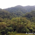 El Cedro Reserve forest with Quercus humboldtii up on the mountains
