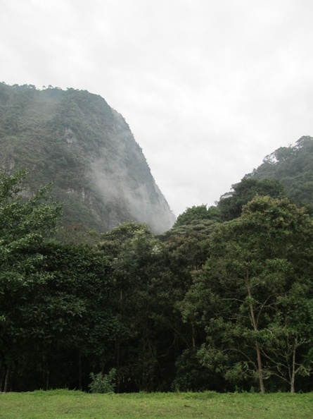 Chicaque forest.JPG