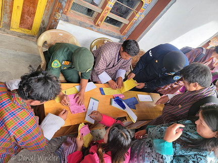 Cordyceps auction application CpR DW Ms