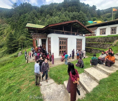 Cordyceps auction building Cp DW Ms