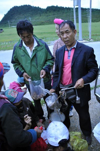 A mobile matsutake (Tricholoma matsutake) dealer who meets his clients along the hiighway.